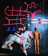 Barbie pferd blizzard gebraucht kaufen  Iserlohn
