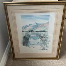 Geoffrey cowton rain for sale  PETERBOROUGH