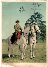 Cartolina 2363. arma usato  Messina