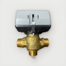 Buderus vaillant 8010 gebraucht kaufen  Waldkirch
