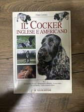 Cocker inglese americano usato  San Mauro Torinese