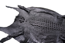 Black genuine crocodile for sale  USA