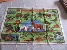 Scottish wild life for sale  TIVERTON
