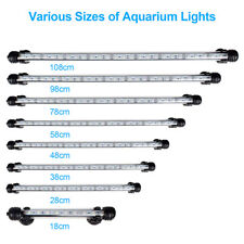 White aquarium fish for sale  TAMWORTH