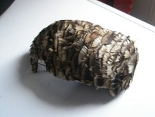 Rare chapeau bibi d'occasion  Tournefeuille