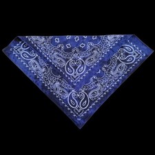 Bandana inverno blu usato  Firenze