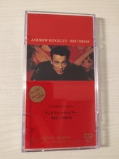 Andrew ridgeley red usato  Collegno