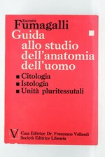 Guida allo studio usato  Roma