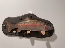 Rainbow trout fish for sale  Black Diamond