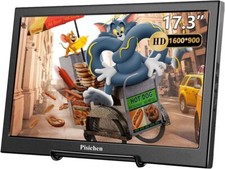 Portable monitor 17.3 for sale  Greensboro
