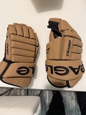 Eagle custom aero for sale  Winter Garden