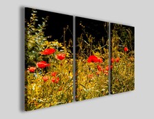 Quadri con fiori usato  Pontecagnano Faiano