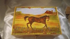 2006 enchantments horse for sale  Denver