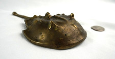 Solid brass horseshoe for sale  Niceville