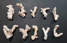 White coral pieces for sale  Ingleside