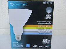Ecosmart 250 watt for sale  Port Huron