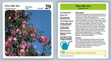 Floss silk tree for sale  SLEAFORD