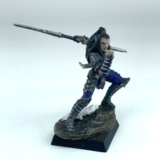 Drow warrior painted for sale  CHICHESTER