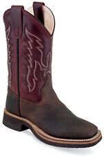 Westernstiefel westernreitstie gebraucht kaufen  Attenkirchen