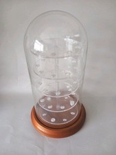 Acrylic dome wood for sale  DORCHESTER