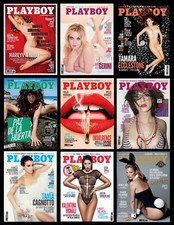 Riviste playboy 2013 usato  Mola di Bari