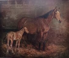 Lionel edwards horse for sale  MORPETH