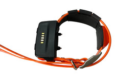 Garmin tt10 collare usato  Spedire a Italy
