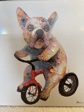 Frenchie french bulldog for sale  Gainesville