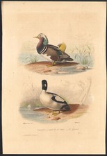 1853 watercolor engraving d'occasion  Expédié en Belgium