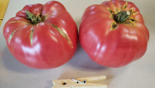 Soldacki tomato heirloom for sale  Omaha