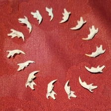 Tiny mouse jaw for sale  HARLESTON