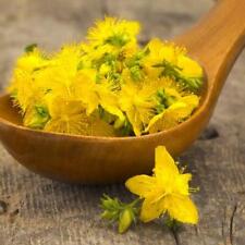 St. johns wort for sale  Sevierville