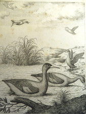Nicolas robert 1614 d'occasion  Périgueux