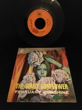 Rock psychedelic 1967 usato  Torino