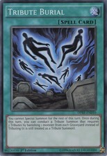 Yugioh Tribute Burial DPRP-EN010 Super Raro 1ª Edição LP comprar usado  Enviando para Brazil