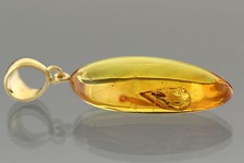 Barata Ninfa inclusão Âmbar Báltico Genuíno Pingente Banhado A Ouro 5.7g p60818-8 comprar usado  Enviando para Brazil
