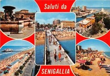 Cartolina saluti senigallia usato  Milano