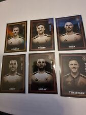 Panini dfb team gebraucht kaufen  Wandlitz