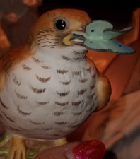 Bird lovers bohem for sale  Minneapolis