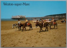 Donkeys sands weston for sale  REDCAR