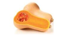 Graines courge whaltham d'occasion  Sanary-sur-Mer