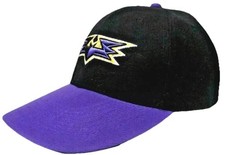 Louisville bats slouch for sale  Corbin