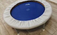 Trimilin mini swing gebraucht kaufen  Amrum