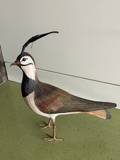 Oiseau collection vanneau d'occasion  La Seyne-sur-Mer