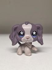 Cocker spaniel dog for sale  Greencastle