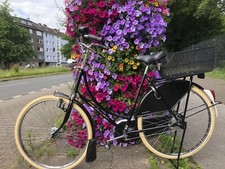 Gazelle tour populaire gebraucht kaufen  Duisburg