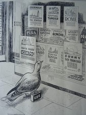 1945 original print for sale  UK