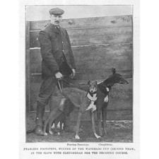 Coursing fearless footsteps for sale  GLASGOW