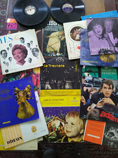 Schallplatten sammlung 25stk gebraucht kaufen  Sinzig