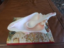Vintage conch sea for sale  Fort Lauderdale